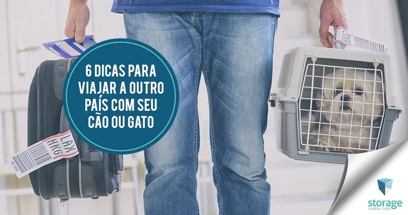 6 dicas para viajar para outro país com o seu cão ou gato