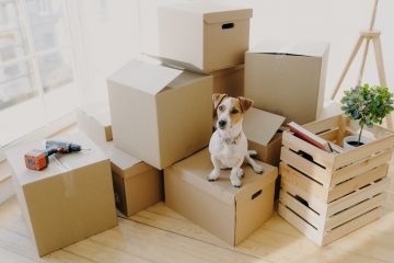 Caixas Plásticas ou de Papelão: a melhor para o self-storage