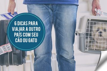 6 dicas para viajar para outro país com o seu cão ou gato